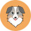https://icon.gateimg.com/images/coin_icon/64/ass.png?v=1743408000