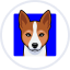 https://icon.gateimg.com/images/coin_icon/64/benji_1752835593.png