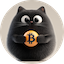https://icon.gateimg.com/images/coin_icon/64/bitcat.png?v=1743408000