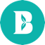 https://icon.gateimg.com/images/coin_icon/64/bly.png?v=1743408000