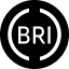 https://icon.gateimg.com/images/coin_icon/64/bri.png?v=1743408000