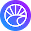 https://icon.gateimg.com/images/coin_icon/64/cam.png?v=1743408000