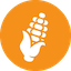 https://icon.gateimg.com/images/coin_icon/64/corn.png?v=1743408000
