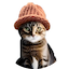 https://icon.gateimg.com/images/coin_icon/64/cwif.png?v=1743408000