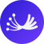 subCoin