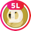 DOGE5xLong