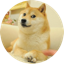 https://icon.gateimg.com/images/coin_icon/64/dognft.png?v=1743408000