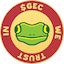 https://icon.gateimg.com/images/coin_icon/64/gec.png?v=1743408000