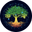 https://icon.gateimg.com/images/coin_icon/64/grv.png?v=1743408000