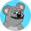 https://icon.gateimg.com/images/coin_icon/64/koko.png?v=1743408000