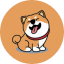 https://icon.gateimg.com/images/coin_icon/64/kuma.png?v=1743408000