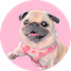 https://icon.gateimg.com/images/coin_icon/64/loulou.png?v=1743408000