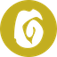 https://icon.gateimg.com/images/coin_icon/64/mojo.png?v=1743408000
