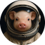 https://icon.gateimg.com/images/coin_icon/64/moonpig_1748934135.png