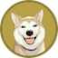 https://icon.gateimg.com/images/coin_icon/64/neiroeth.png?v=1743408000