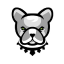 https://icon.gateimg.com/images/coin_icon/64/pit_1750214563.png