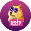 https://icon.gateimg.com/images/coin_icon/64/polydoge.png?v=1743408000
