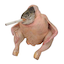 https://icon.gateimg.com/images/coin_icon/64/scf.png?v=1743408000