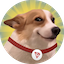 https://icon.gateimg.com/images/coin_icon/64/sundog.png?v=1743408000