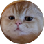 https://icon.gateimg.com/images/coin_icon/64/taocat.png?v=1743408000