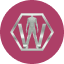 https://icon.gateimg.com/images/coin_icon/64/wear.png?v=1743408000