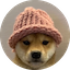 https://icon.gateimg.com/images/coin_icon/64/wif.png?v=1743408000